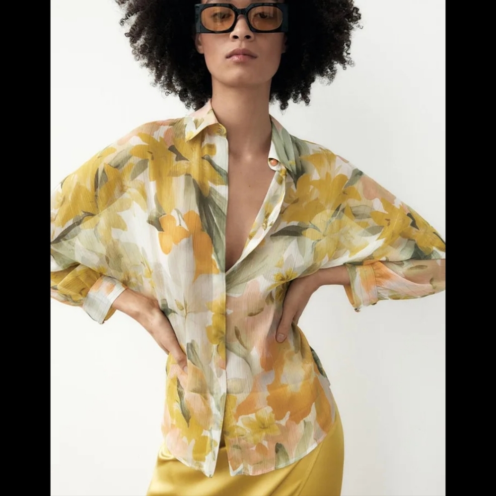 Zara Floral Sheer Chiffon Blouse